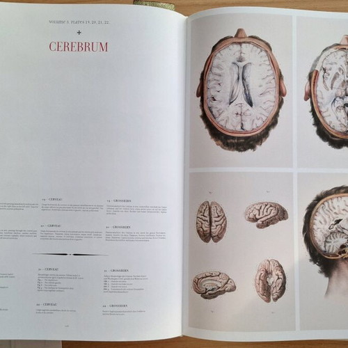 Atlas of Human Anatomy and Surgery TASCHEN like new