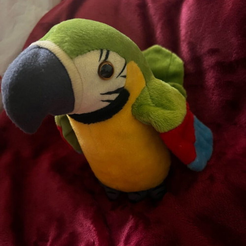Plush parrot like new that talks and moves its wings