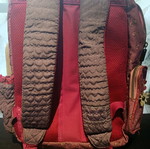 Santoro school backpack like new