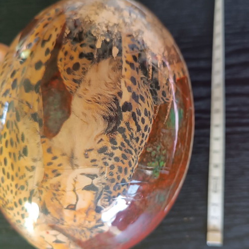 Ostrich Egg from South Africa like new with gold leaf and colorful details