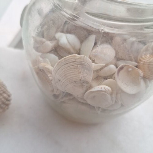 Sea treasures in a jar with natural shells, used