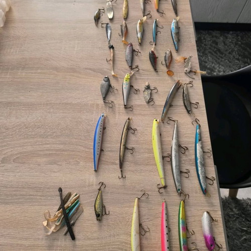 Spinning lures used