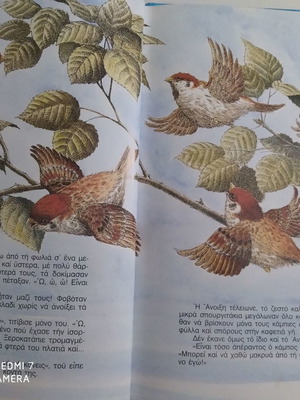 Children's book The restless sparrow used