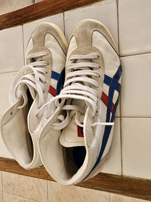 Σπάνια δερμάτινα μποτάκια asics