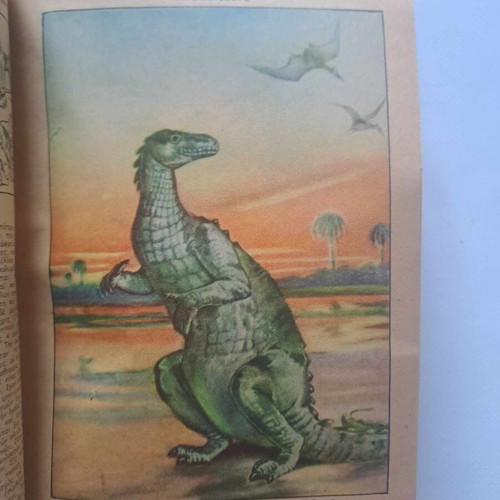 Epitomon Orthografikon kai Egkyklopaideikon Lexikon Iliou used, volume 2 K-O