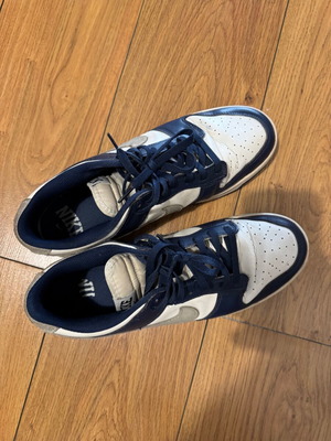 Nike Dunk Low used, size 46, blue