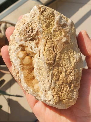 Botryoidal Limestone Rock new