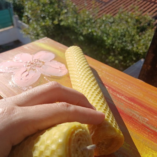 Handmade beeswax candles in decorative box with herbs and oils