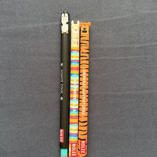 Erasable pen Holee new
