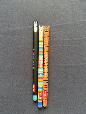 Erasable pen Holee new