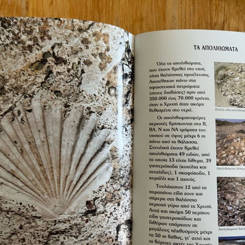 The island of Chrysi book like new, Municipality of Ierapetra 2000