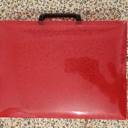 Plastic Document Case with Handle, Red, Like New