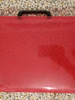 Plastic Document Case with Handle, Red, Like New