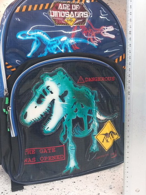 School Backpack with Dinosaur Design new