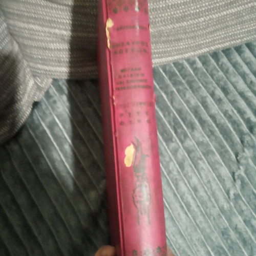 Thesauros Gnoseon book used, leather-bound with damages