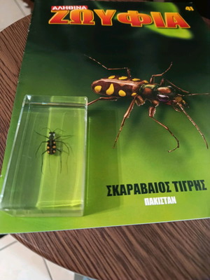 Real insects issue 41 used