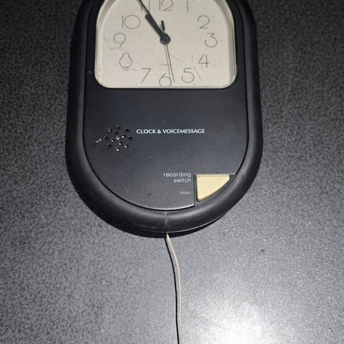 Twin Bird Clock & Voice Message wall clock like new, 1980s vintage