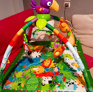 Βρεφικό γυμναστήριο fisher price
