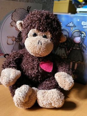 Russ kisses stuffed monkey used brown with heart