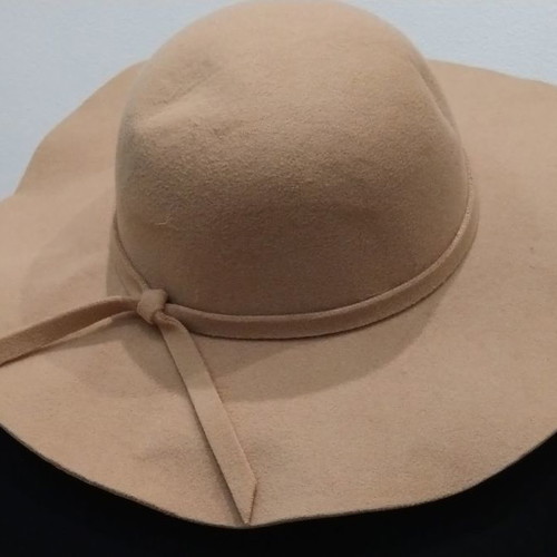 Felt hat with wide brim