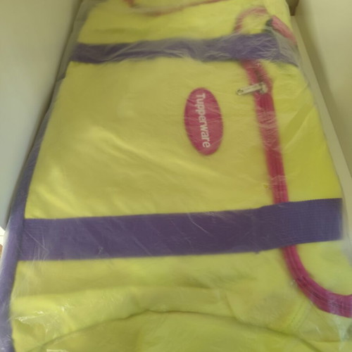 Tupperware gym and travel bag