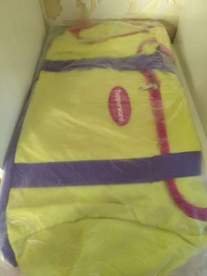 Tupperware gym and travel bag