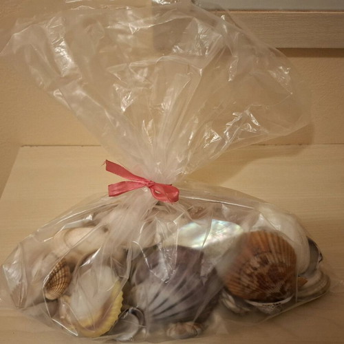 Shell collection like new