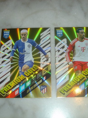 Panini FIFA 365 2024 Premium Gold cards new, 2 pieces
