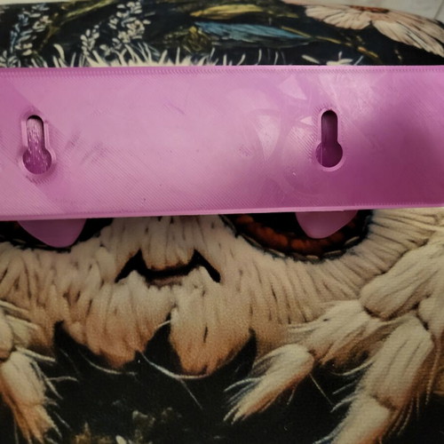 Wall hanger with skull design