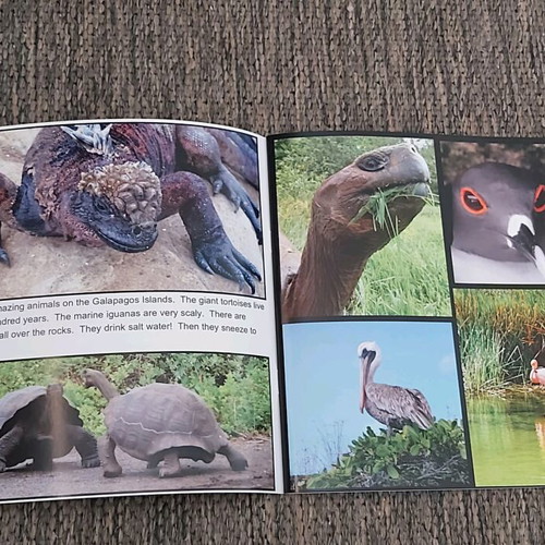 Photo albums like new, pack of 5 with flower, landscape, animal collections