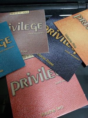 Best of Privilege 5 CD new, electronic music