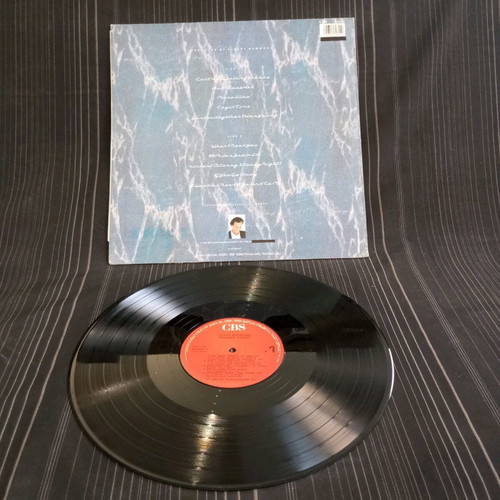 Julio Inglesias Starry Night vinyl like new V91