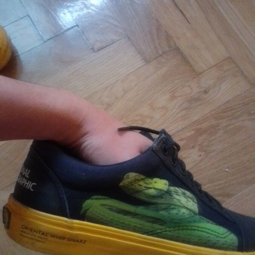 Vans National Geographic sneakers size 8.5 like new