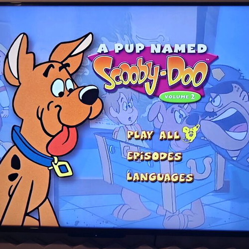 A Pup Named Scooby-Doo Vol. 2 DVD used, dubbed