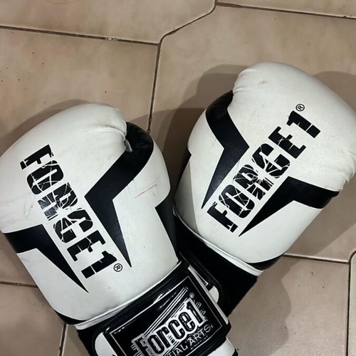 Kick Boxing Gloves Force 1 used with shin guards