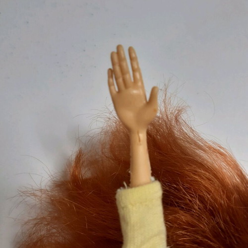 Winx Bloom doll used with wear