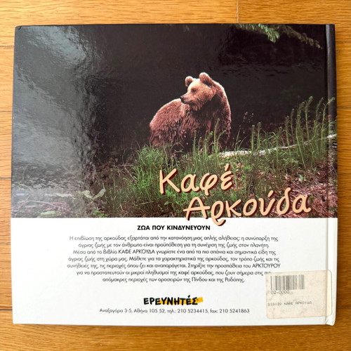 Brown Bear children's book new, hard cover