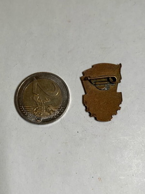 USSR pin used