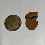 USSR pin used
