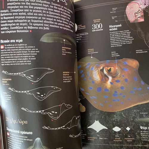 Atlas of Sciences: Fish and Amphibians like new, Greek edition