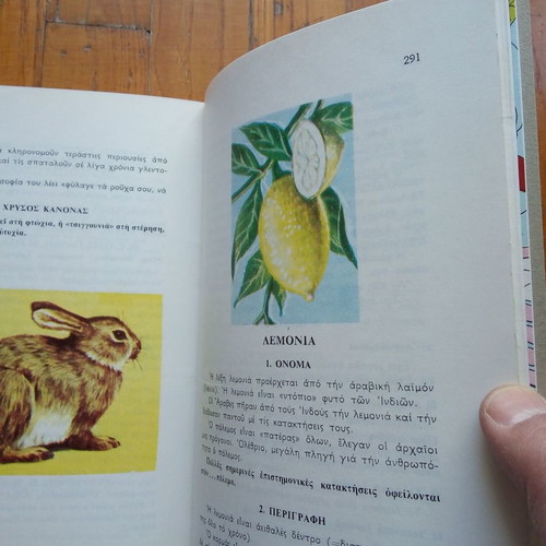 Book Plants and Animals Fourth Grade Elementary Excellent Condition