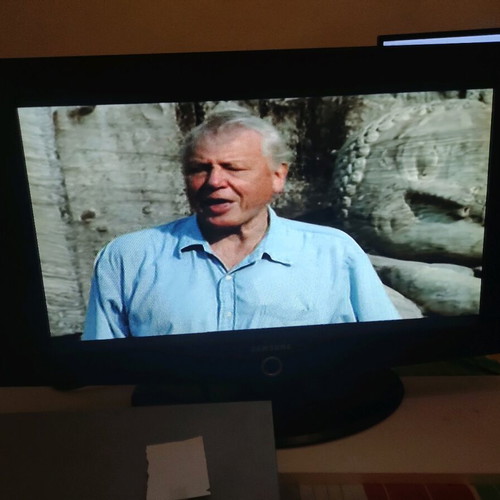 Samsung 32 used TV with vivid colors and excellent picture