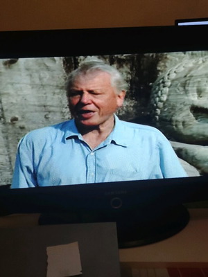 Samsung 32 τηλεόραση μεταχειρισμένη με όμορφα χρώματα και άριστη εικόνα