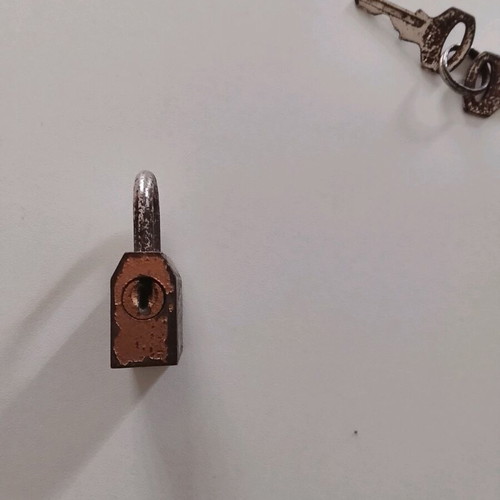 Collectible padlock used with side lock