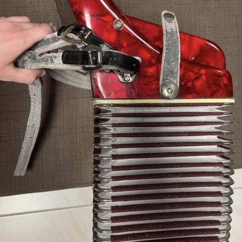 Parrot accordion
