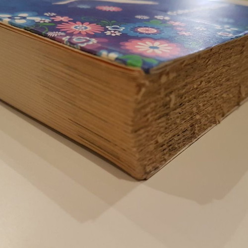 Children's book With the Wings of the Swan used