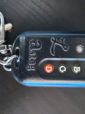 Various keychains like new