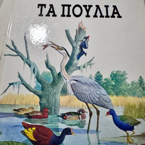 Children's encyclopedia used, pack of 12 books