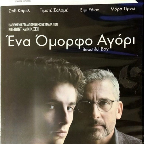 DVD Ένα Όμορφο Αγόρι μεταχειρισμένο, δράμα με Στιβ Κάρελ