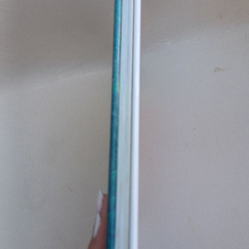 The Beauty of Japan book like new, English